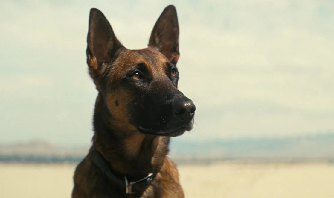 Сериал Фоллаут 1 сезон 7 серия смотреть онлайн